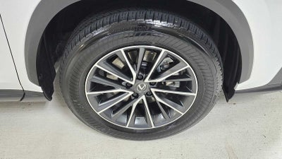 2024 Lexus NX Premium