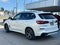 2023 BMW X5 xDrive45e xDrive45e