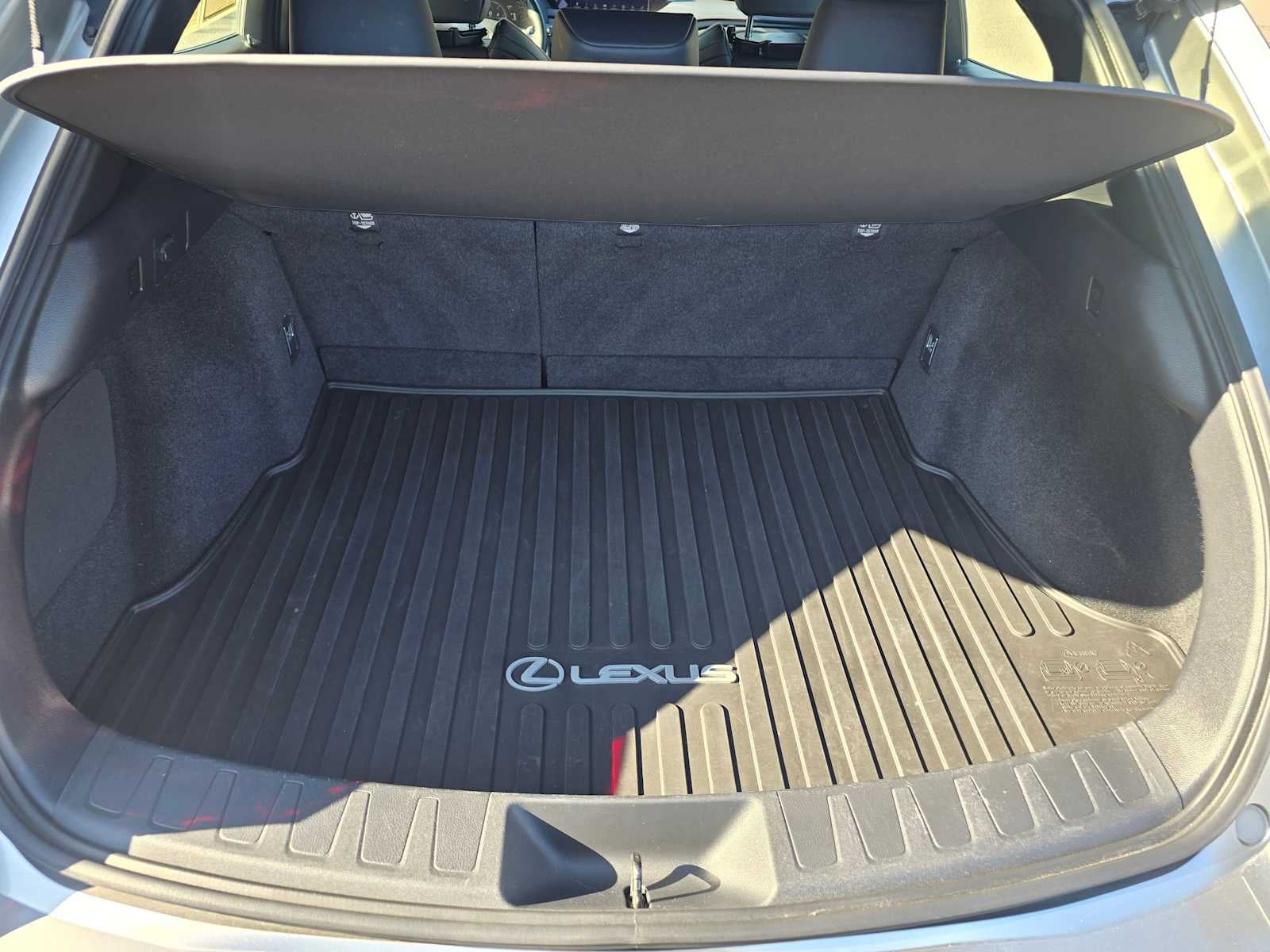 2019 Lexus UX F SPORT