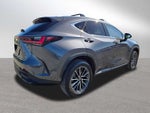 2025 Lexus NX 350h Premium