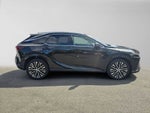 2024 Lexus RX 350h Premium Plus