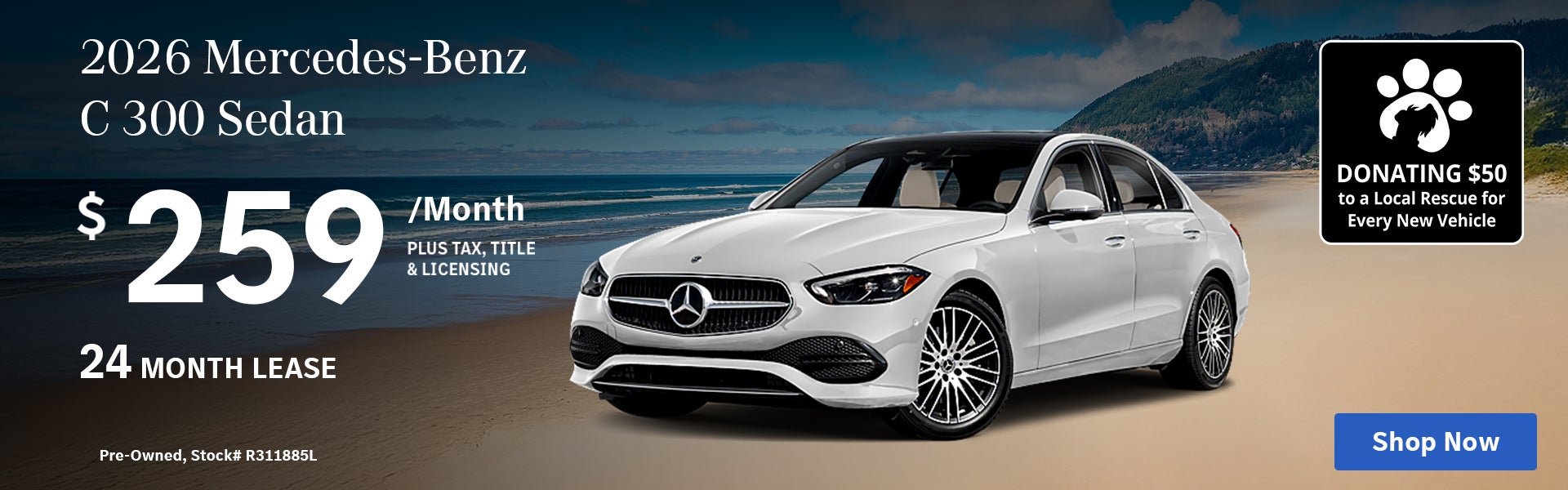 C 300