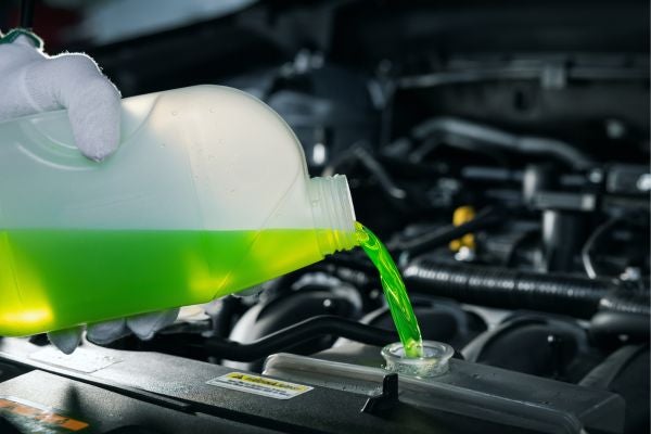 Winter Coolant Exchange Special $349
